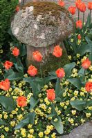 Tulipa 'Prinses Irene' underplanted with violas, around a lichen encrusted staddle stone 