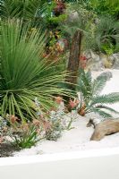 'Akamba Down Under' Show Garden at Gardeners World Live, 2007, featuring a beach with incoming tide, boardwalk, beach hut and a palm fringe including Butia and Phoenix palms