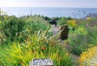 Seaside garden with drought tolerant planting border of Crocosmia, Euphorbia, Helichrysum, Verbena, Lavandula and Oenothera - Dawlish 