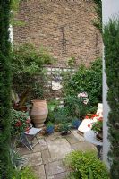 Small urban courtyard garden in London with yorkstone paving