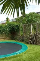 Contemporary urban garden with trampoline, wooden screening and plantings of Phormium - London