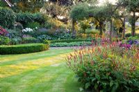 Borders in country garden. Persicaria amplexicaulis 'Firedance' in foreground