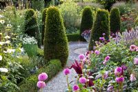 Formal garden with clipped Taxus - Yew and borders of Amaranthus, Agastache 'Blue fortune', Dahlia 'Jan van Schaffelaar', Dahlia 'Classic Giselle'