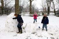 Children building snowman. Pannells Ash Farm, Essex, February.