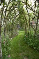 Grass path through living willow tunnel bordered by wildflowers with view of the house - Westonbury Mill Water Gardens