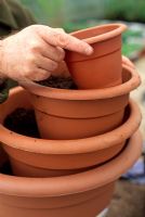 Making a tiered herb container - Buy a number plastic pots in different sizes to create the tier. Part fill the biggest pot with compost then place the second largest pot inside, and so on, leaving a 5-8 cm rim protruding