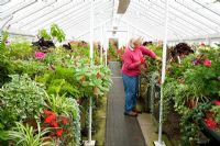 Sarah Wain, the garden manager, in the glasshouse at West Dean
