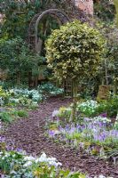 Woodland walk through Galanthus and Crocus tommasinianus - Dial Park, Chaddesley Corbett, Worcestershire