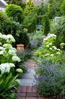 Steps between flowerbeds, planting includes Nepeta and Hydrangea 'Annabelle' 
