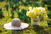 Daffodils in a yellow bucket outdoors with straw hat