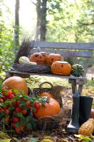Carved pumpkins on garden bench