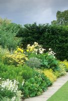 Herbaceous border sheltered by bays of Taxus baccata, Planting includes Penstemon, Alchemilla mollis, Arum lily, Eryngium, Euphorbia, Bergenia and Hakonechloa - RHS Hyde Hall, Essex