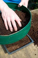 Sowing seeds - Sieving the compost 