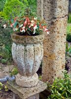 Unusual stoneware container on plinth. John Massey's Garden Ashwood (NGS) West Midlands in June.
