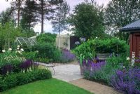 Modern garden. Borders of Salvia, Nepeta, Papaver - Poppies, Agapanthus. Agnas, Sweden 