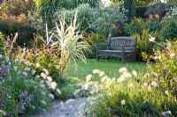 Wooden bench in September garden. Pennisetum villosum in foreground