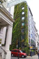 Living Wall by Patrick Blanc at The Athenaeum Hotel, London