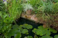 Small rectangular garden pond edged with brick and planted with Nymphaea - Water lily, Iris and Sagittaria 
