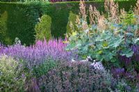 Summer border of Macleaya cordata, Lythrum, Sedum matrona, Nepeta 'Dawn to dusk', Geranium 'Nimbus', Phlox 'Lilac lady'