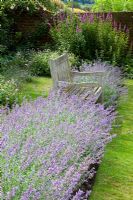 Wooden bench and border of Nepeta racemosa 'Walker's Low'