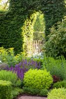 Wooden gate in hedge of herb garden. Borders of Foeniculum vulgare, Salvia and Origanum vulgare 'aureum'
