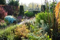 The Dry Garden in autumn at Cambridge Botanic Gardens. Berberis thunbergii 'Helmond Pillar', Santolina, Sedum, Taxus - Yew topiary, Fagus - Beech hedge.
 