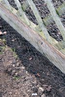 Bottom of rabbit proof wire netting laid into trench to form an L-shaped barrier to prevent burrowing
