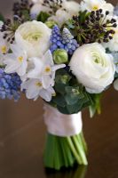 Bouquet of spring flowers including peony, Narcissus, Muscari and Hedera
