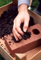 Filing brick with compost, to be used as planter