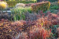 Autumn border of Sedum 'Matrona', Geranium renardii 'Philippe Vapelle' and Imperata cylindrica 'Red Baron' 