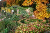 Small garden in autumn with Skimmia japonica 'rubella' in foreground