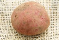 Red skinned Potato