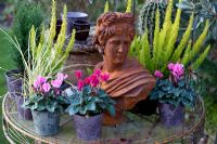 Still life of Cyclamen in pots with bust of woman