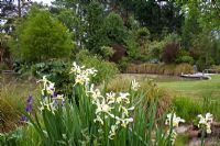 Pond and flowerbeds - Breedenbroek, New Zealand