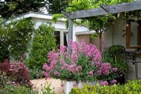 View of house and flowerbeds, Centranthus in pot - Breedenbroek, New Zealand