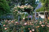 Rose garden - Breedenbroek, New Zealand