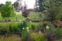 Mixed border with grasses, shrubs and trees - Breedenbroek, New Zealand