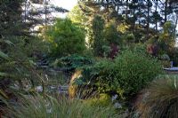 Pond surrounded by trees and shrubs - Breedenbroek, New Zealand