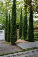 Entrance to suburban garden, with bed of Cupressus sempervirens - Italian Cypresses flanking entrance. Christchurch, New Zealand