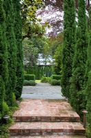 View from entrance of suburban garden with Cupressus sempervirens - Italian Cypresses, to boundary of Thuja trees at the other end. Escallonia hedges contrast with Hebe mounds across the gravelled court. Christchurch, New Zealand