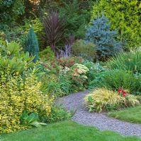 Path through summer borders of Conifers, Cordyline, Sedum, Salvia and plants with blue, bronze, purple and golden coloured foliage.