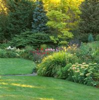 Country garden with curved lawn and borders of Sedum, Dahlia and Crocosmia