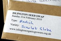 Packet of Radish 'Scarlet Globe' seed at Islington Organic Growers Seed Swap event 