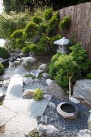 Japanese garden with granite path, lantern and Taxus - Yew topiary