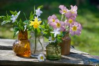 Spring flowers in glass jars. Primula polyanthus, Narcissus 'Tete a Tete' and Vinca.