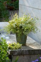 Arrangement of Matricaria chamomilla - Chamomile, Galium album - Woodruff and Daucus - Carrot flowers in vase