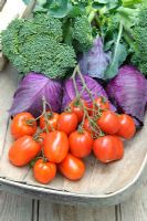 Tomato 'Rudolf', Broccoli and Red Cabbage in wooden trug