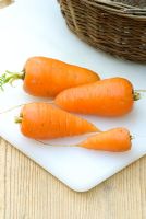 Daucus carota - Carrot 'Oxheart' on plastic chopping board