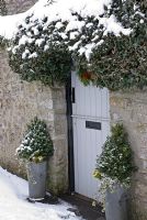 Snow covered Ivy growing over a doorway, with clipped Buxus in galvanised containers with variegated Ivy