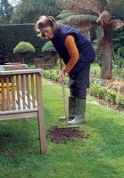 Sowing grass seed on bare patch of lawn - Rake and add topsoil if necessary to create a flat, firm surface at the correct height. This is important because loosened soil can easily sink